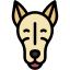 GreyHound